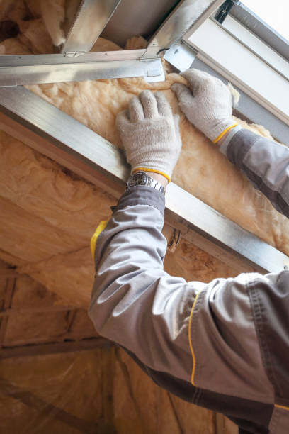 Best Insulation Maintenance and Repair in Chester, WV